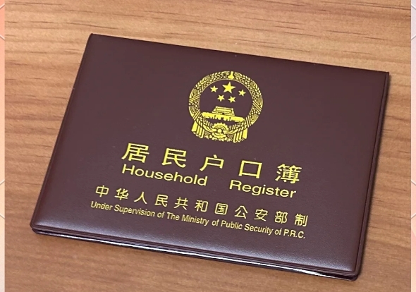 引进人才政策与资格审核流程分析